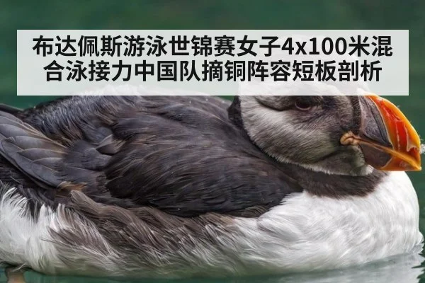 布达佩斯游泳世锦赛女子4x100米混合泳接力中国队摘铜阵容短板剖析